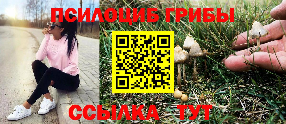 Галлюциногенные грибы мухоморы  Вход с VPN  Карачаевск 