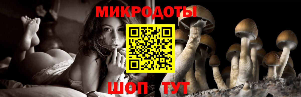 Псилоцибиновые грибы прущие грибы Карачаевск